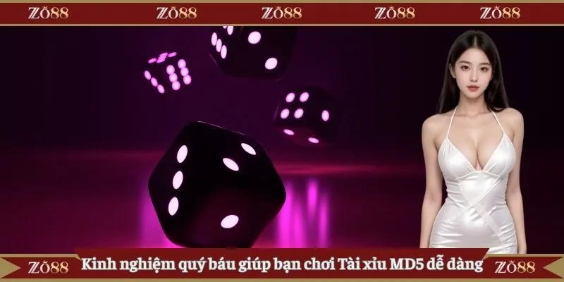 Kinh nghiệm quý báu giúp chơi Tài xỉu MD5 dễ dàng